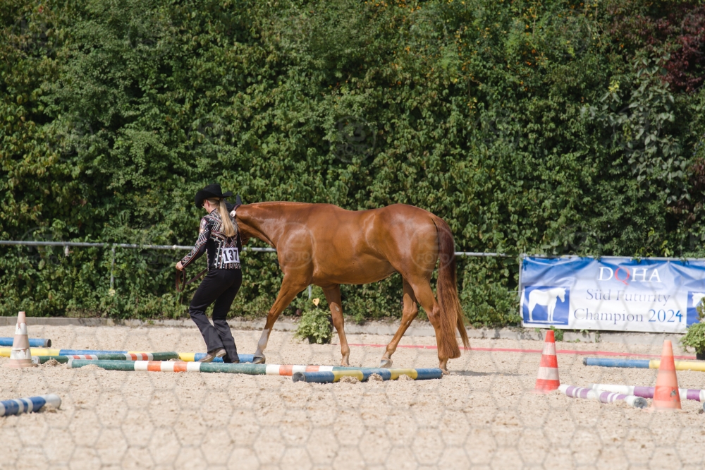 s_batch_A9_00147.jpg